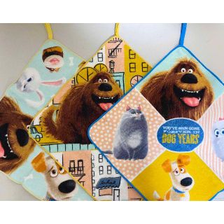 コストコ(コストコ)の新品 3枚 ★ コストコ ループタオル PETS ペット 映画(その他)