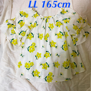 リンジィ(Lindsay)のLindsay 女の子トップス　シャツ　LL165cm(Tシャツ/カットソー)