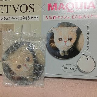 エトヴォス(ETVOS)の新品☆マッシュ　毛穴拡大ミラー(ミラー)