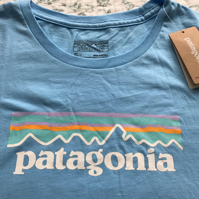 patagonia(パタゴニア)のパタゴニア  パステルプリント レディースのトップス(Tシャツ(半袖/袖なし))の商品写真