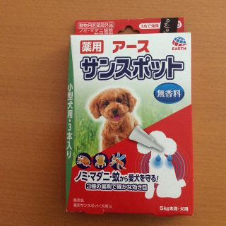 アースセイヤク(アース製薬)のかずさん専用 アース サンスポット 小型犬用 (犬)