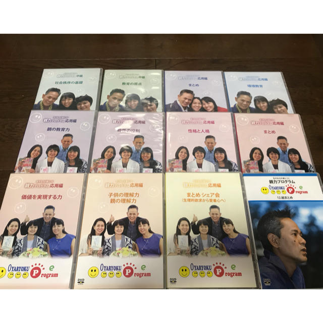 金城幸政　親力プログラム中級・応用編DVD 1-12エンタメ/ホビー