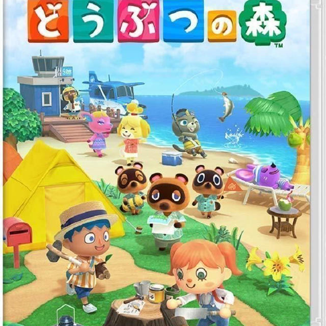 美品　あつまれどうぶつの森 Nintendo Switch  集まれ 動物の森