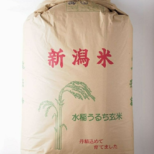 激安通販 玄米30kg令和元年産コシヒカリ 米/穀物