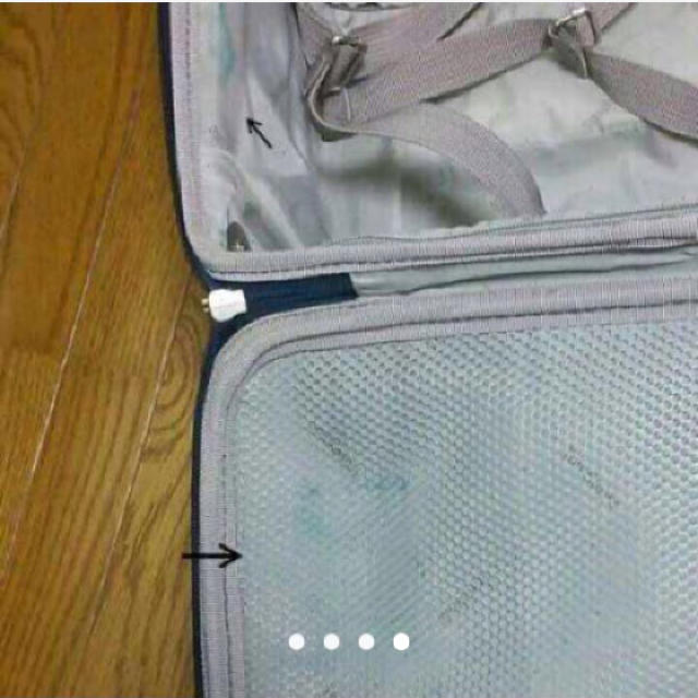 【値下げしました】キャリーバッグ レディースのバッグ(スーツケース/キャリーバッグ)の商品写真