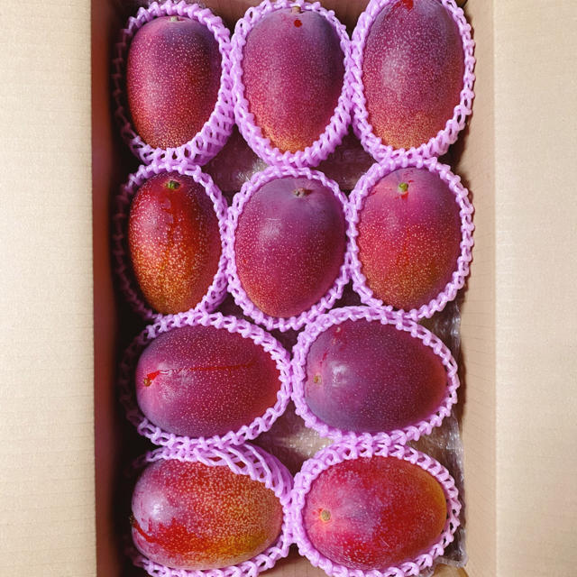 宮崎県産 完熟マンゴー 自家用 約3.5kg バラ詰め 食品/飲料/酒の食品(フルーツ)の商品写真