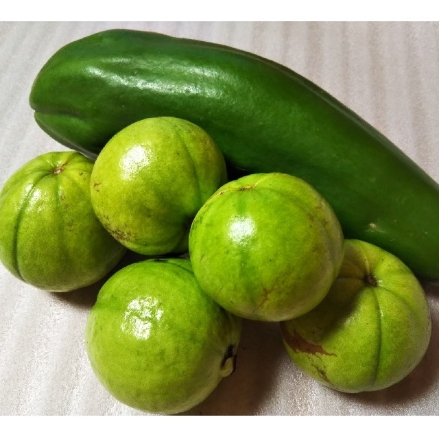 グァバ 青パパイヤ 果物 野菜 サラダ利用可能品種の通販 By Pt Vegetable S Shop ラクマ