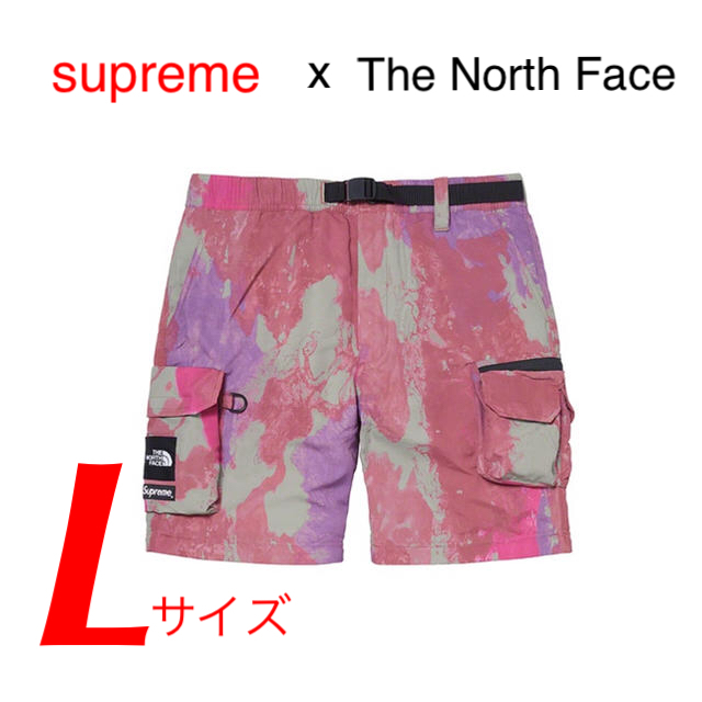 パンツSupreme The North Face Belted Cargo Pant