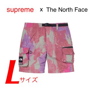 シュプリーム(Supreme)のSupreme The North Face Belted Cargo Pant(ワークパンツ/カーゴパンツ)