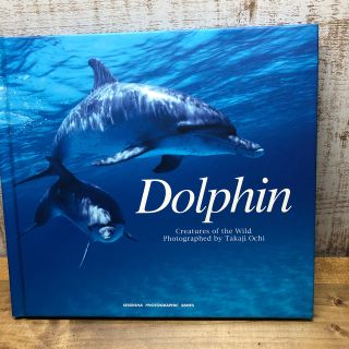 Ｄｏｌｐｈｉｎ Ｃｒｅａｔｕｒｅｓ　ｏｆ　ｔｈｅ　ｗｉｌｄ(科学/技術)