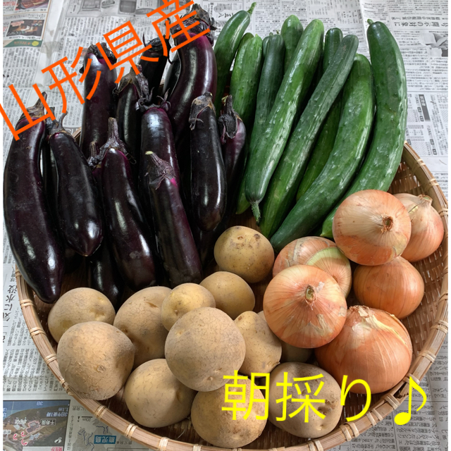 【新鮮✨】山形県産    無農薬野菜 詰め合わせ 食品/飲料/酒の食品(野菜)の商品写真