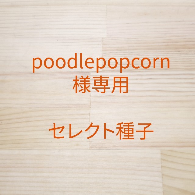 poodlepopcorn様専用　セレクト種子 食品/飲料/酒の食品(野菜)の商品写真