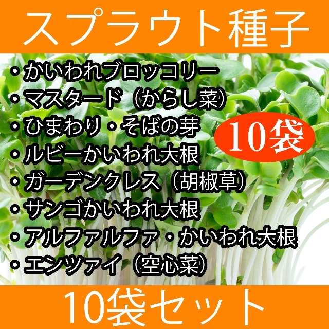 poodlepopcorn様専用　セレクト種子 食品/飲料/酒の食品(野菜)の商品写真