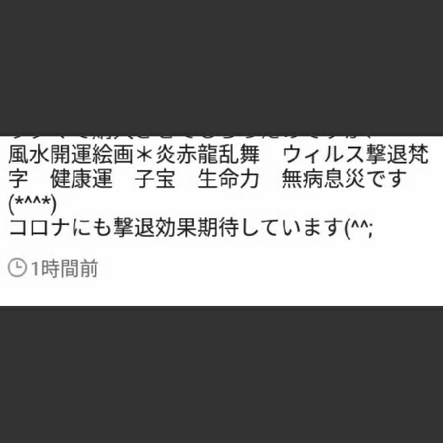 開運龍絵画＊子宝報告◆無病息災健康　炎赤龍乱舞　ウィルス撃退梵字健康子宝　生命力 3