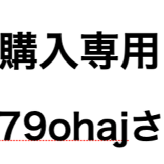 sr79ohajさん購入専用(その他)