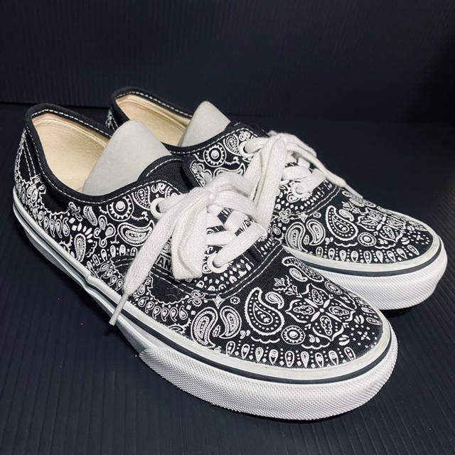 Another Edition AE×VANS 　AUTHENTIC PSLY