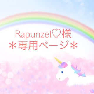 ＊Rapunzel♡様専用ページ＊(その他)