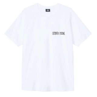 XLサイズ STUSSY END RACISM Tee 国内正規品