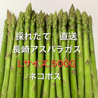 長崎産アスパラガス　Lサイズ 500G(野菜)
