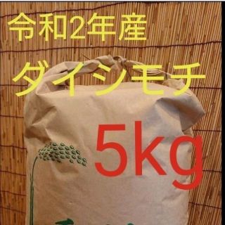 ダイシモチ 玄麦(米/穀物)