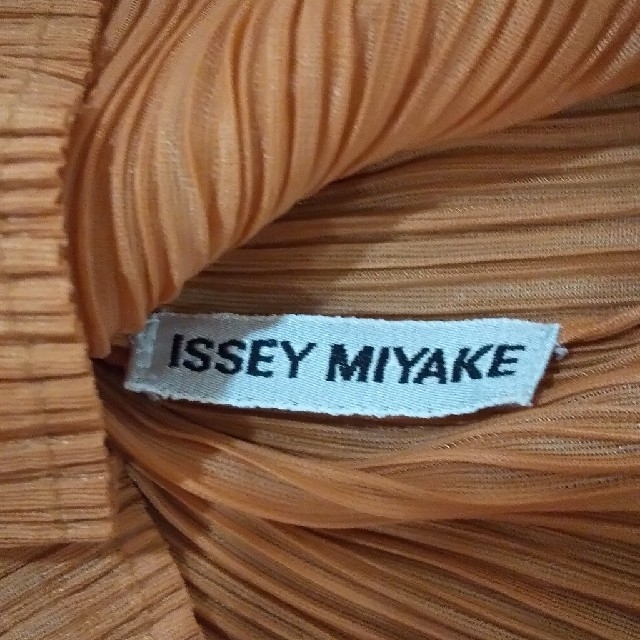 PLEATS PLEASE ISSEY MIYAKE(プリーツプリーズイッセイミヤケ)のISSEY MIYAKE プリーツカットソー オレンジ 長袖 レディースのトップス(Tシャツ(長袖/七分))の商品写真