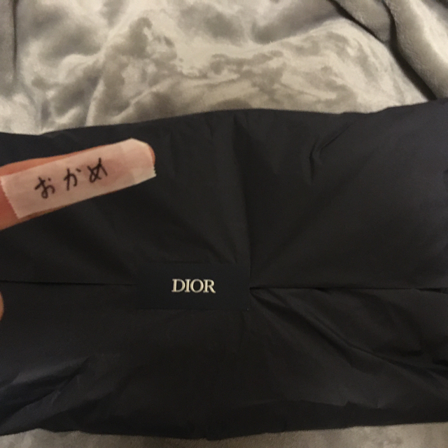 Dior(ディオール)のDior×Jordan アパレル　ショートパンツ メンズのパンツ(ショートパンツ)の商品写真