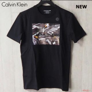 カルバンクライン(Calvin Klein)のCalvin Klein tシャツ(Tシャツ/カットソー(半袖/袖なし))