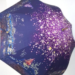 【新品タグ付】傘 塔の上ラプンツェル 憧れの光 晴雨兼用 日傘 長傘