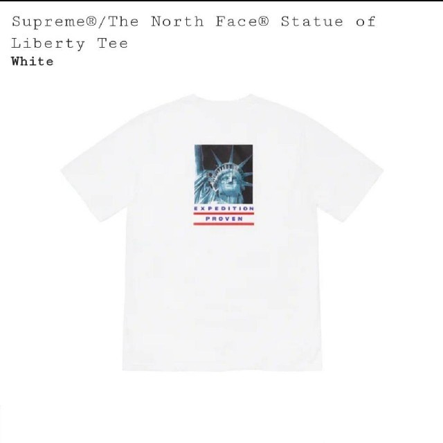 The North Face Statue of Liberty Tee