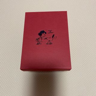 スヌーピー(SNOOPY)のスヌーピーの箱(その他)