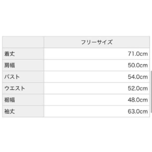 Rady(レディー)のsecret パーカー レディースのトップス(パーカー)の商品写真