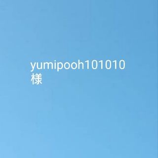 yumipooh101010様専用！2キロ(野菜)