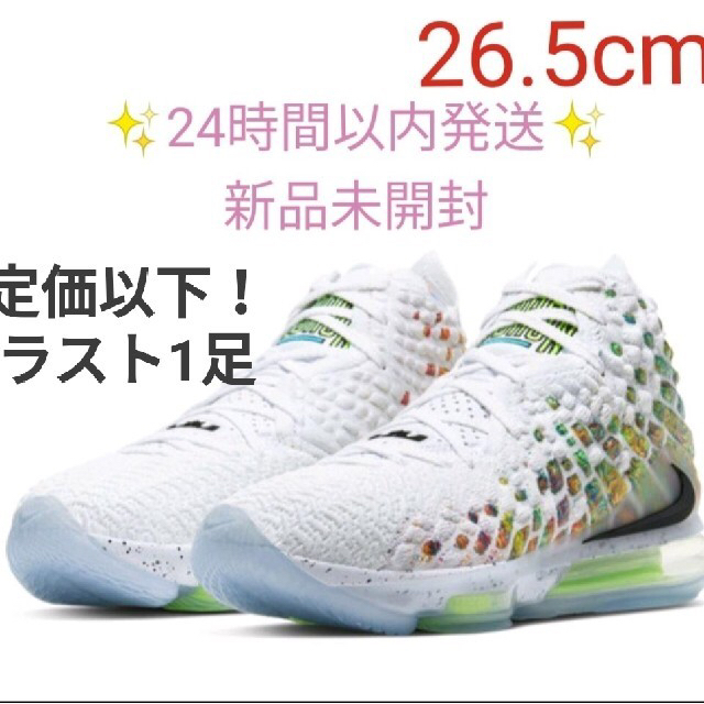 超有名ブランド登場！ NIKE レブロン XVII BQ3177-100 新品未使用