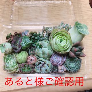 あると様ご確認用(その他)