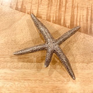 PLUIE STARFISH Barrettaプリュイ スターフィッシュバレッタ