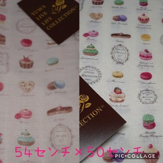YUWA マカロン柄 ピンク＆ オフホワイトの２枚set(生地/糸)