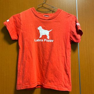 ラブラドールリトリーバー(Labrador Retriever)のキッズ＊Tシャツ＊ラブラドールリトリバー＊6Y(Tシャツ/カットソー)