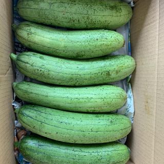 夏場限定！沖縄ヘチマ へちま 産地直送10KG(野菜)