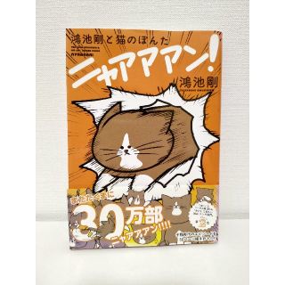 カドカワショテン(角川書店)の「鴻池剛と猫のぽんたニャアアアン!」(その他)