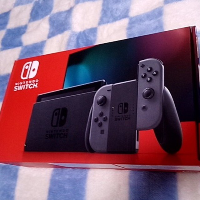 Nintendo Switch  グレー