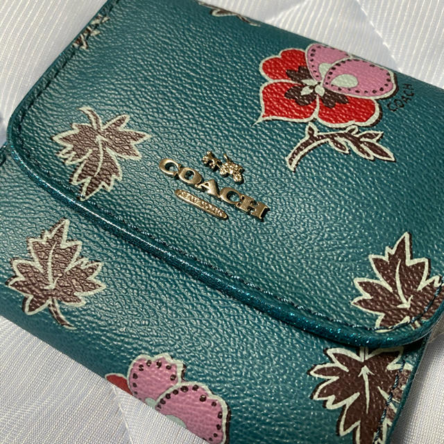 COACH(コーチ)のCOACH財布 レディースのファッション小物(財布)の商品写真