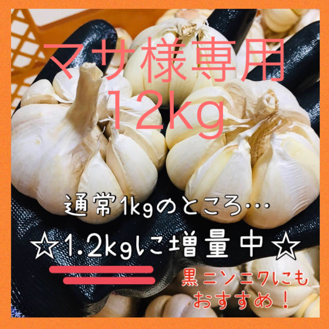 マサ様専用　12kg にんにく 食品/飲料/酒の食品(野菜)の商品写真