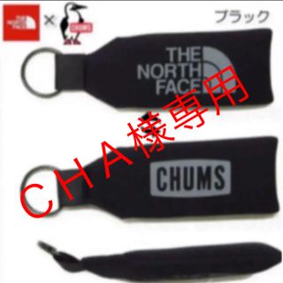 ザノースフェイス(THE NORTH FACE)の【ＣＨＡ様専用】　2点目お値引き(キーホルダー)