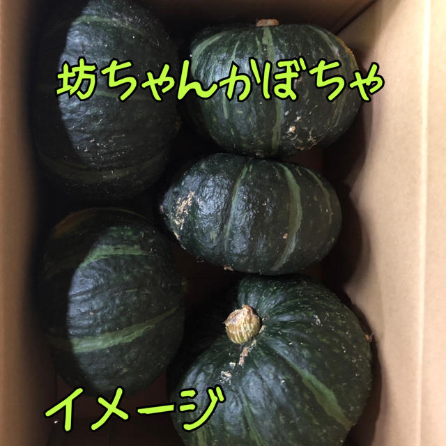 愛媛県産 無農薬栽培 坊ちゃんかぼちゃ 食品/飲料/酒の食品(野菜)の商品写真