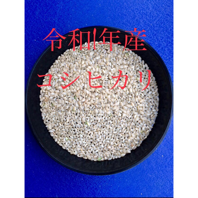 お米SALE！！令和1年産 京都府丹後産コシヒカリ 玄米30㎏ 未検査です！