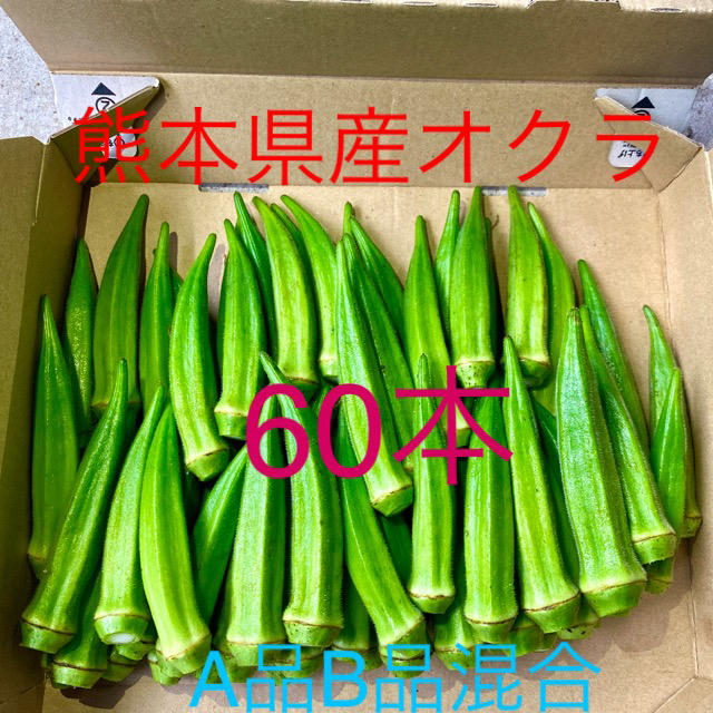 熊本県八代産　オクラ　ブルースカイ60本 食品/飲料/酒の食品(野菜)の商品写真