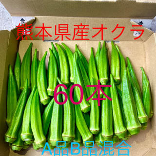熊本県八代産　オクラ　ブルースカイ60本(野菜)