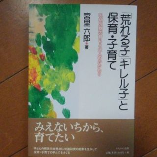 「荒れる子」「キレル子」と保育・子育て 乳幼児期の育ちと大人のかかわり(人文/社会)