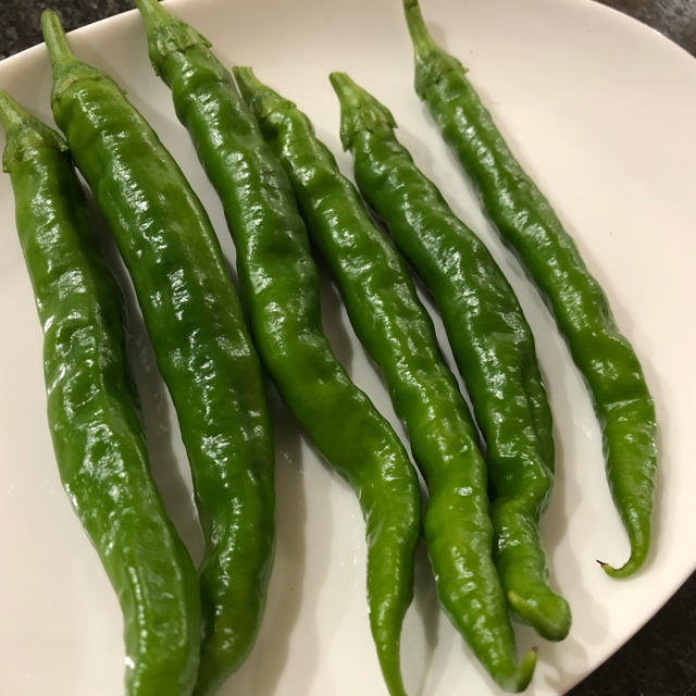 青とうがらし 唐辛子 野菜 青唐辛子 青トウガラシの通販 By はり畑 ラクマ 青とうがらし 唐辛子 野菜 青唐辛子 青トウガラシの通販 By はり畑 ラクマ
