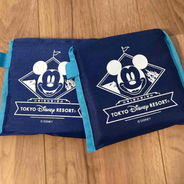 Disney(ディズニー)の2点♡新作♡ディズニーリゾート　ミッキー  エコバッグ レディースのバッグ(エコバッグ)の商品写真
